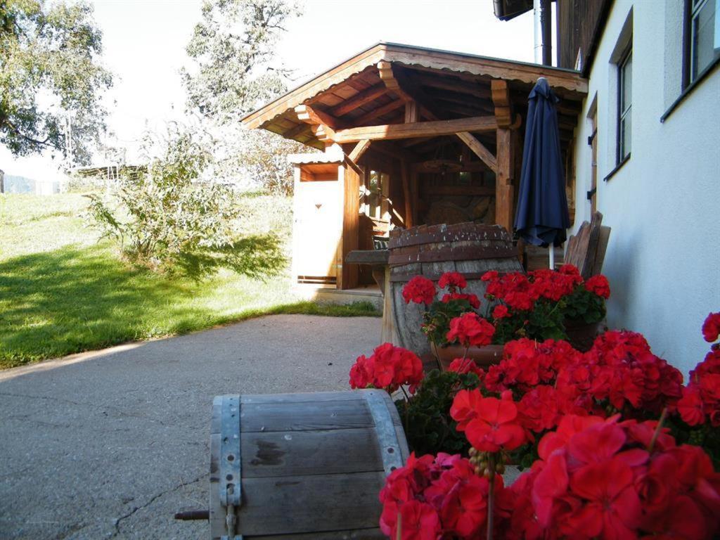 Biobauernhof Schuster Apartment Hopfgarten im Brixental Exterior photo
